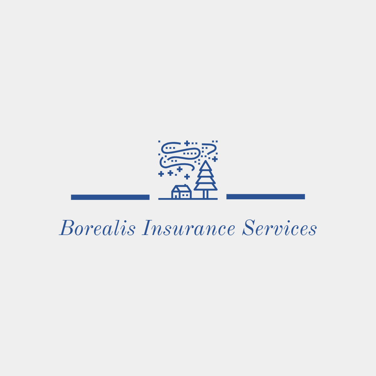 Borealis Insurance Services